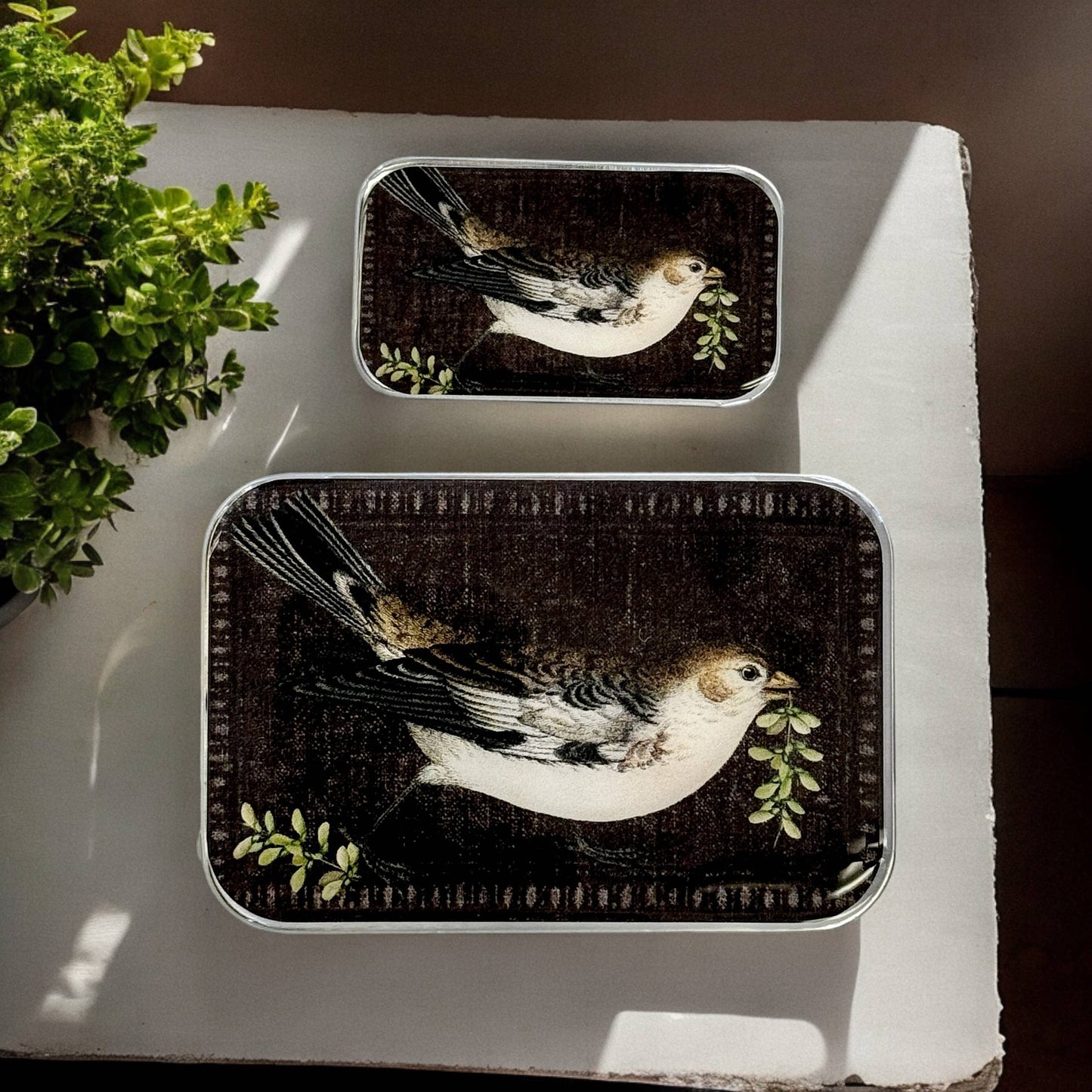 Firefly Notes - Birdsong Notions Tin
