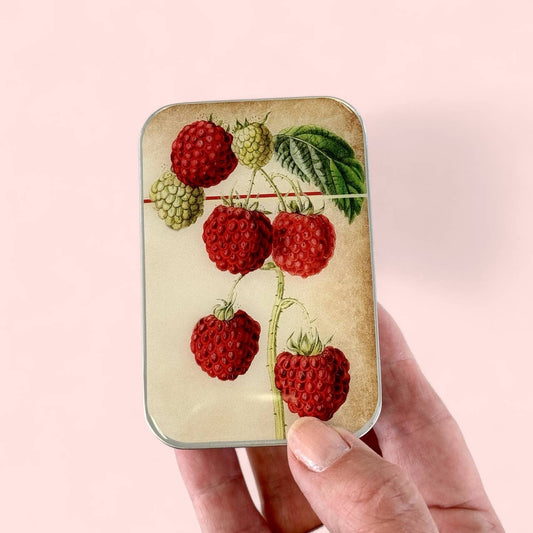 Firefly Notes - Raspberry Large Notions Tin