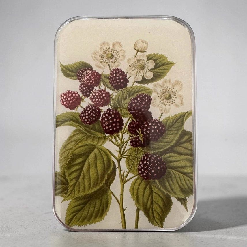Firefly Notes - Small Notion Tins