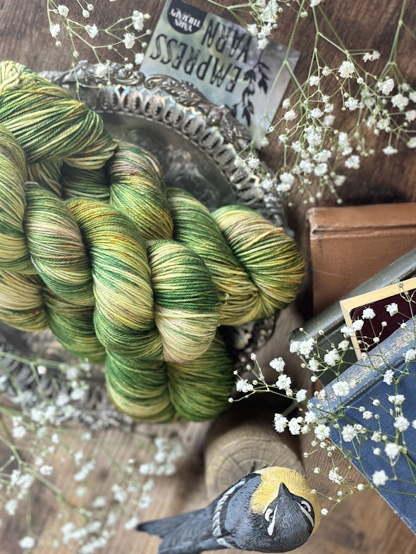 80/20 Sock Yarn- Empress Yarn
