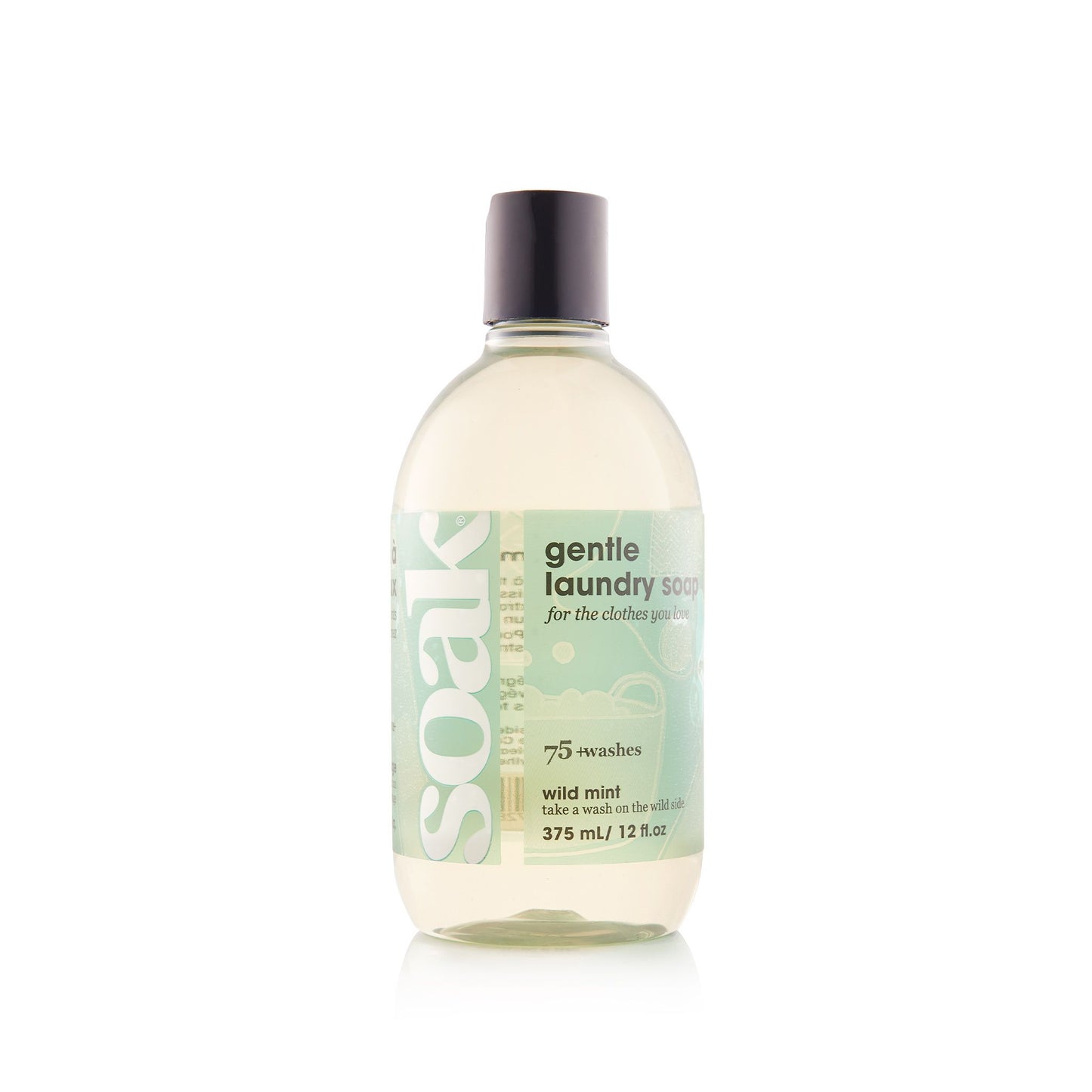 Soak Laundry Soap - Wild Mint