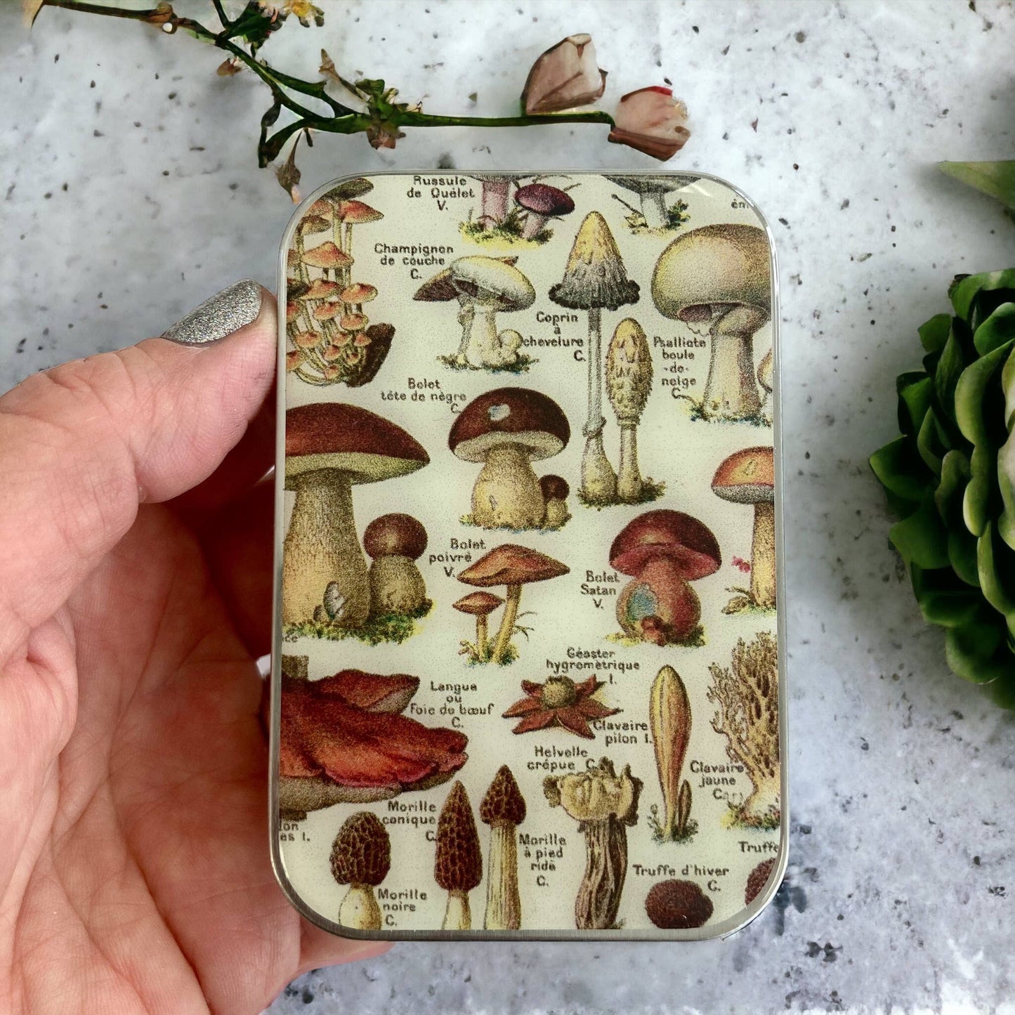 Firefly Notes - Large Notion Tins