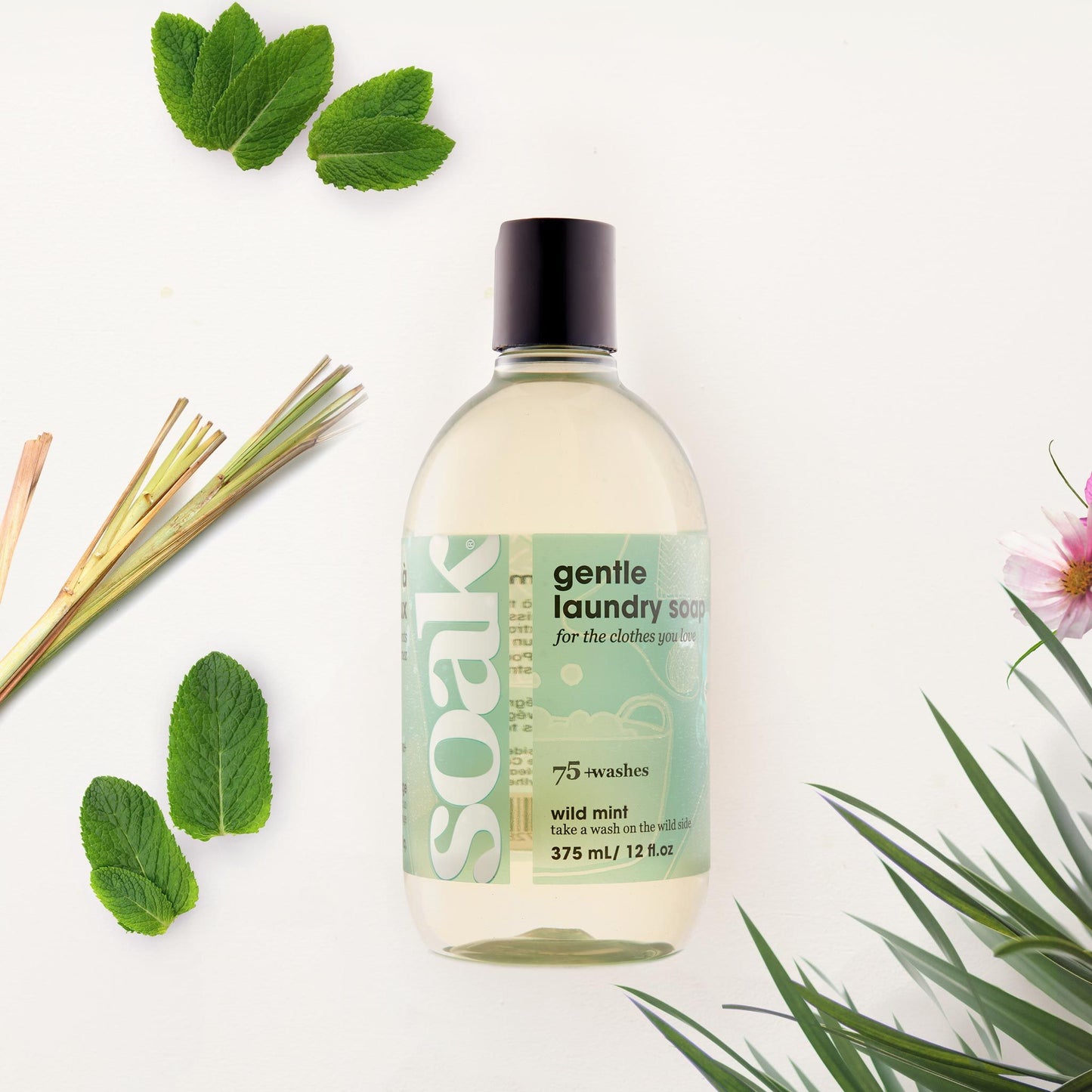 Soak Laundry Soap - Wild Mint