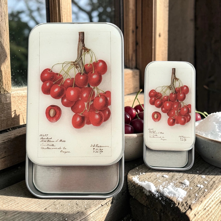 Firefly Notes - Large Notion Tins