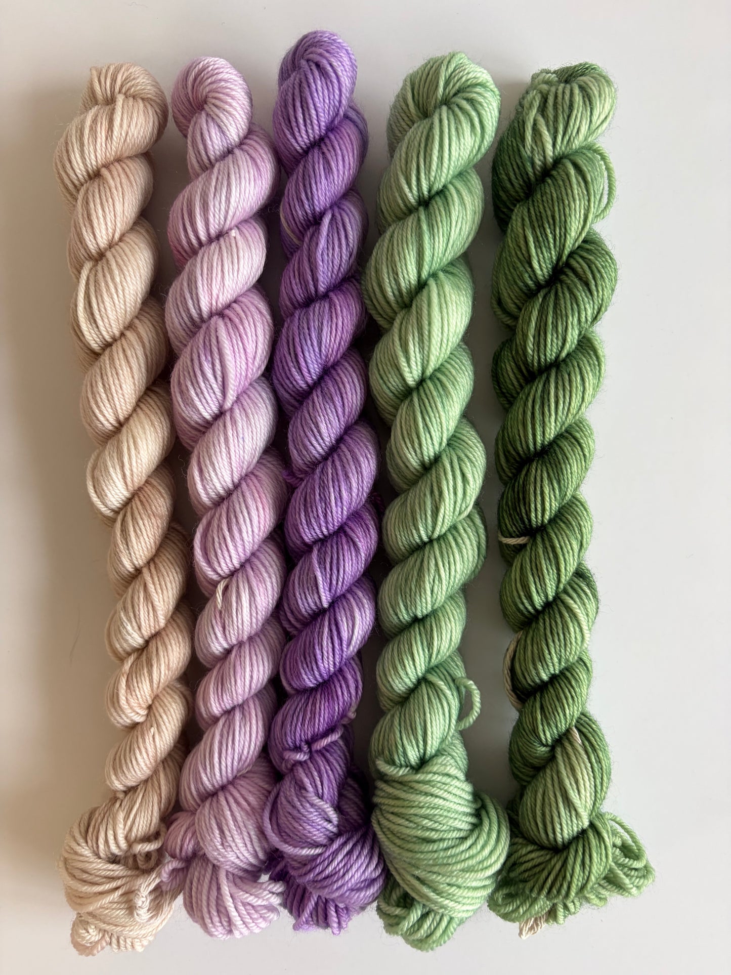 80/20 Mini Sock Set- Empress Yarn
