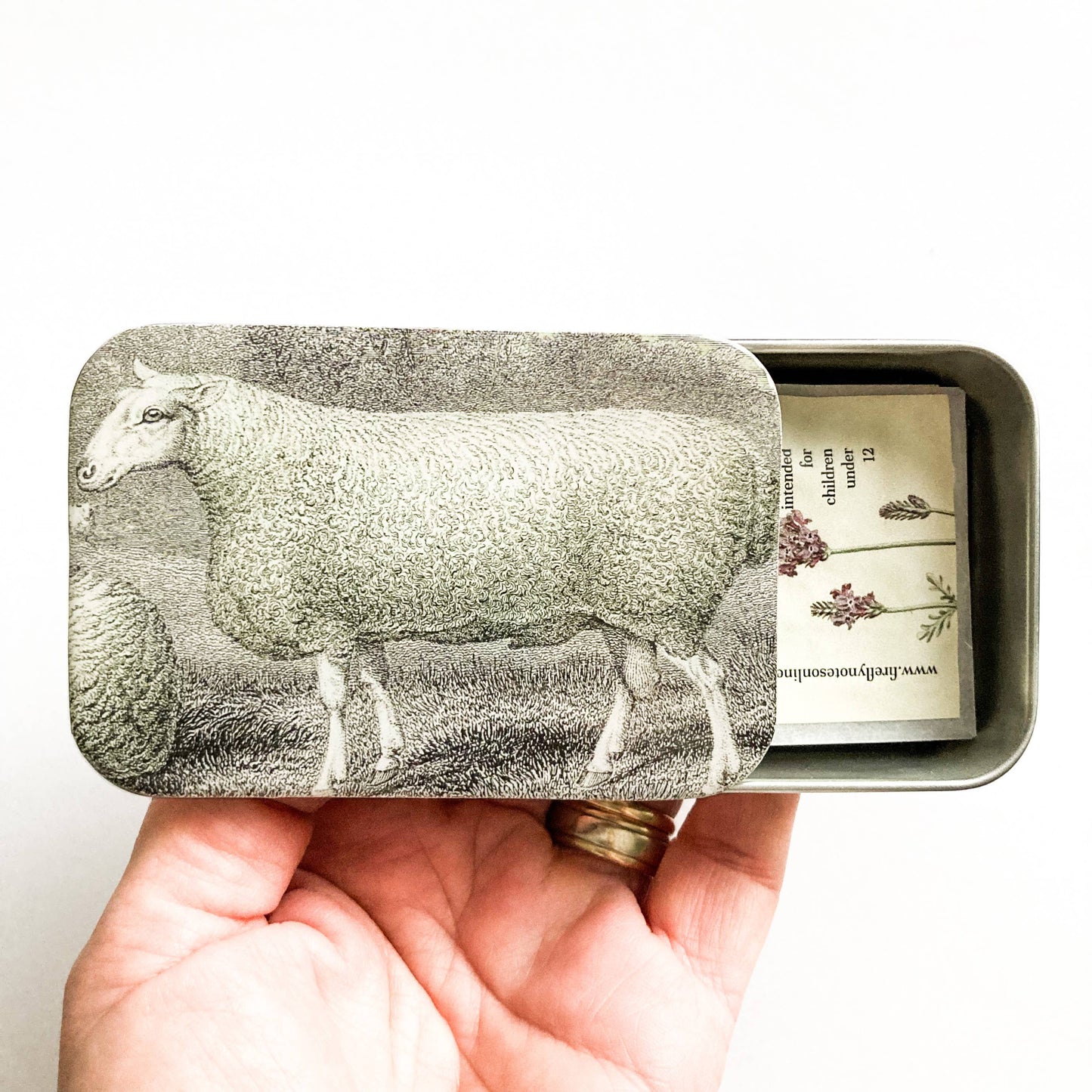 Firefly Notes Notions Tin, Sheep Knitting Kit