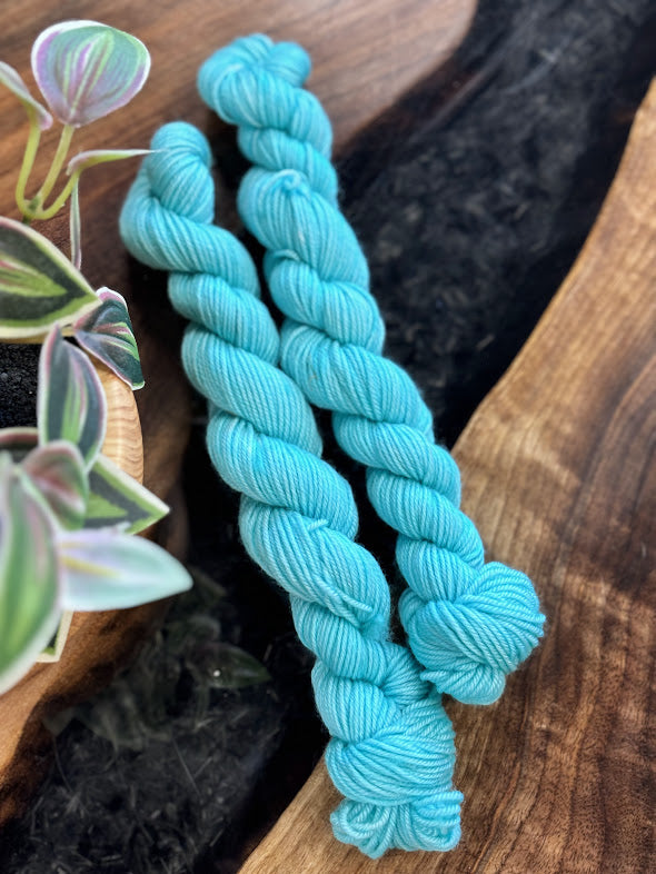 80/20 Sock Mini - Empress Yarn