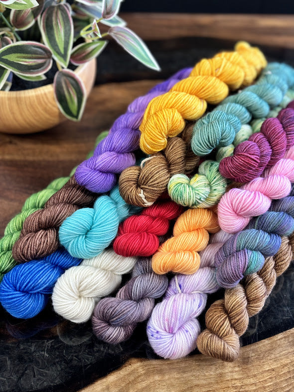 80/20 Sock Mini - Empress Yarn