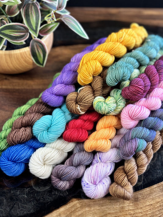 80/20 Sock Mini - Empress Yarn