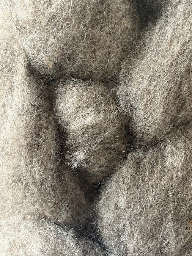 Silver Saltbrush Roving  I   Loch Lomond