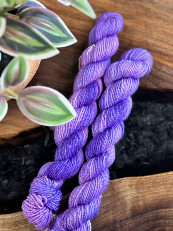 80/20 Sock Mini - Empress Yarn