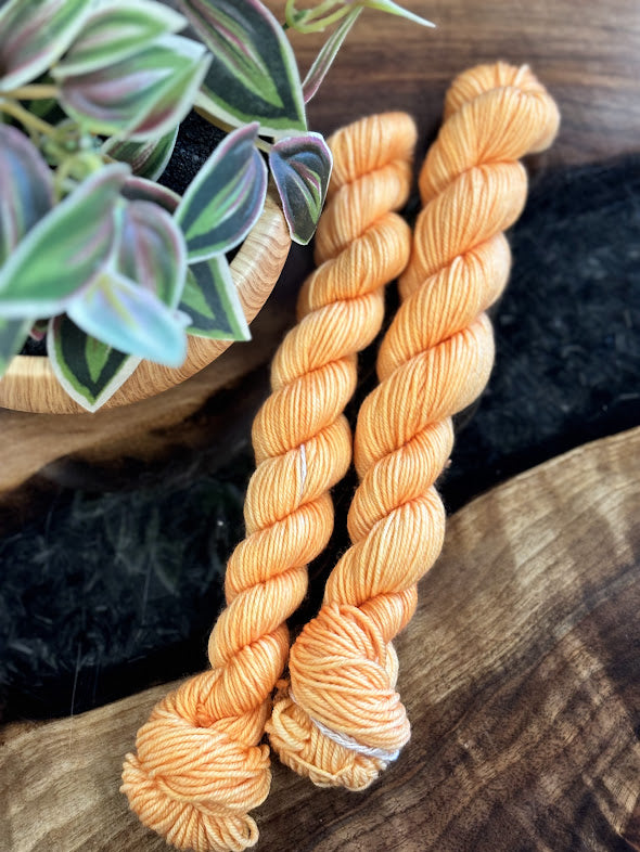 80/20 Sock Mini - Empress Yarn