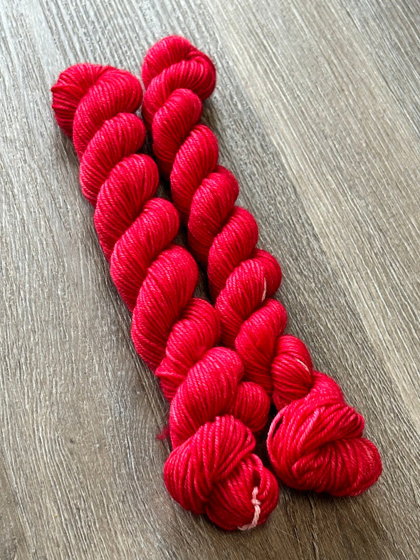 80/20 Sock Mini - Empress Yarn