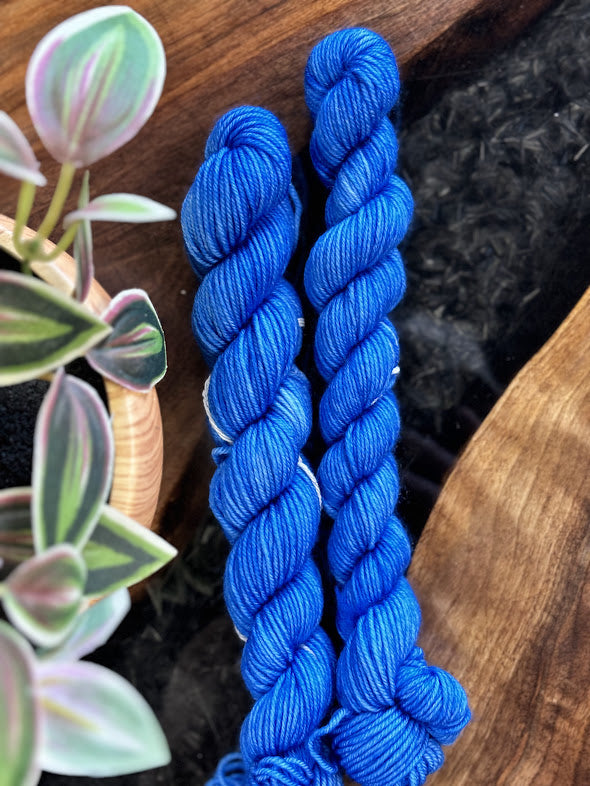 80/20 Sock Mini - Empress Yarn