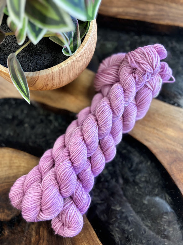 80/20 Sock Mini - Empress Yarn