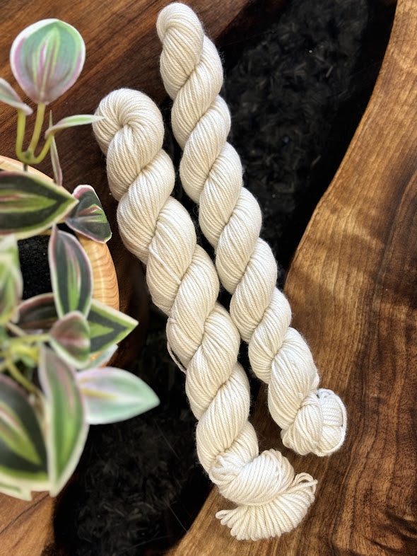 80/20 Sock Mini - Empress Yarn