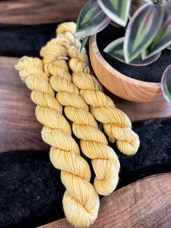 80/20 Sock Mini - Empress Yarn