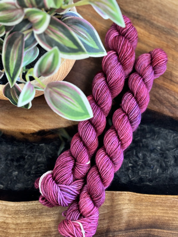 80/20 Sock Mini - Empress Yarn