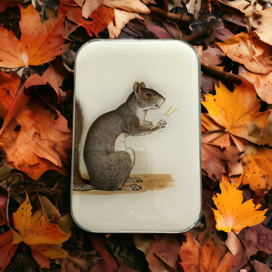 Firefly Notes - Yarn Squirrel Large Notions Tin