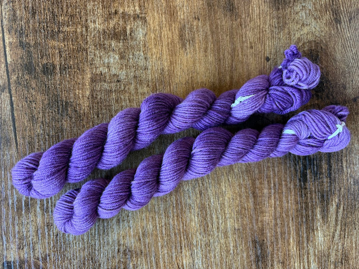 80/20 Sock Mini - Empress Yarn