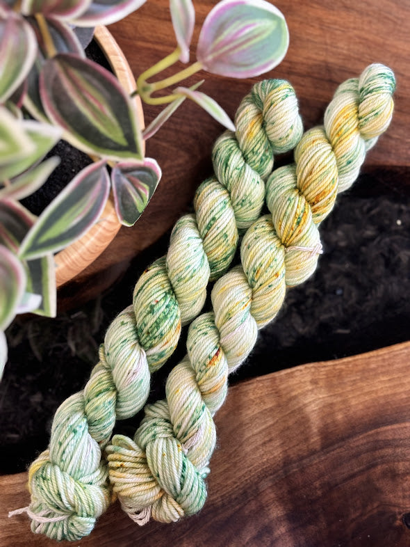 80/20 Sock Mini - Empress Yarn