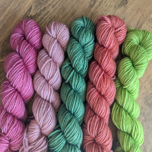 Pine & Purl Mini Skein Set Fruit Punch Collection